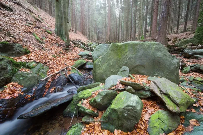 Framed Print : Forest brook (river) with moss covered stones, long exposure Framed Print : Forest brook (river) with moss covered stones, long exposure
