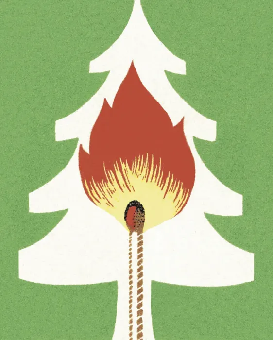Framed Print : Forest Fire