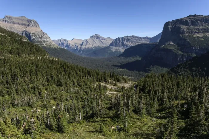 Framed Print : Forest and mountains in Glacier National Park, Montana, United States