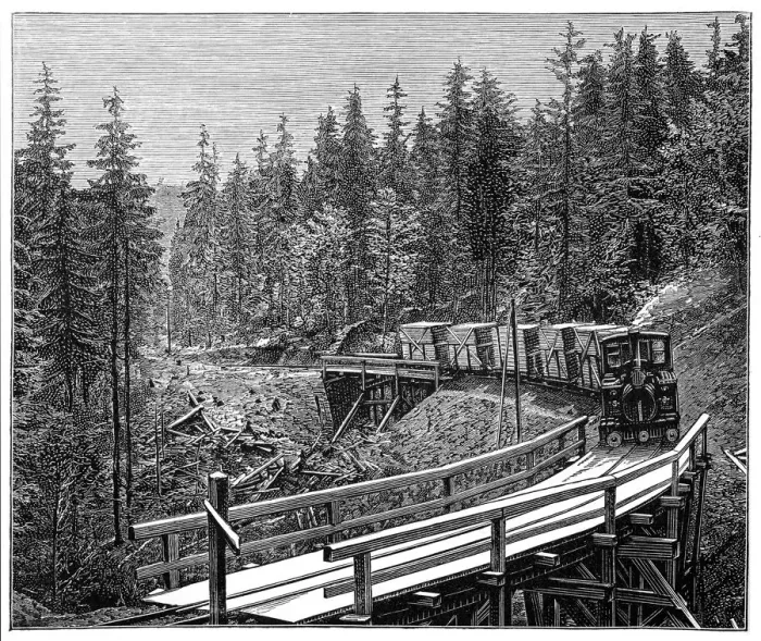 Framed Print : Forest railway Framed Print : Forest railway