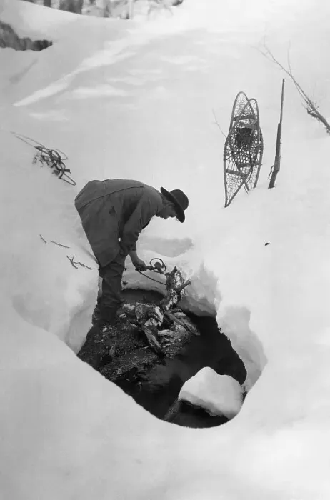 Framed Print : Forest Ranger Sets Trap in Snow Framed Print : Forest Ranger Sets Trap in Snow