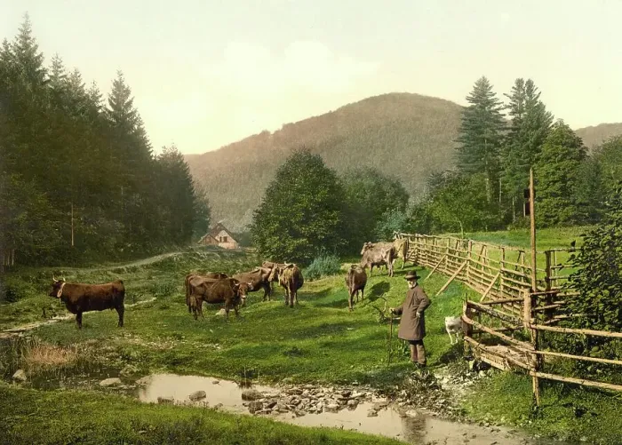 Framed Print : The forester's lodge in Bad Lauterberg in Harz, Lower Saxony, around 1890, Germany, Historic, digitally restored reproduction from a 19th century original Framed Print : The forester's lodge in Bad Lauterberg in Harz, Lower Saxony, around 1890, Germany, Historic, digitally restored reproduction from a 19th century original