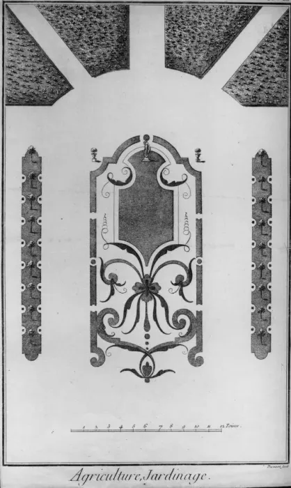 Framed Print : Formal Jardinage Framed Print : Formal Jardinage