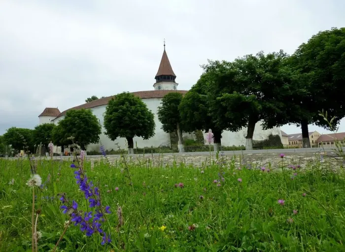 Framed Print : Fortified church in Prejmer Framed Print : Fortified church in Prejmer