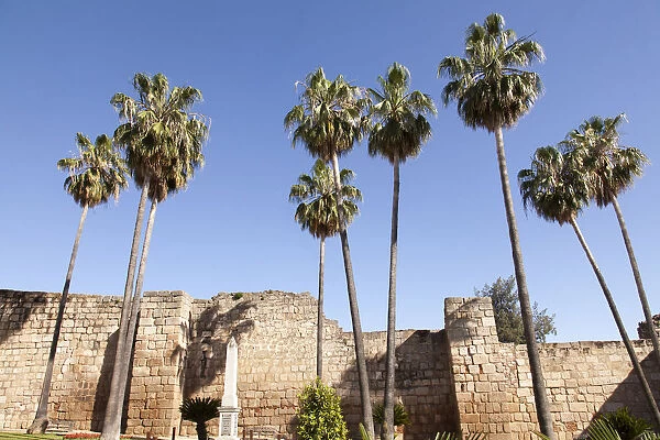 Fortified wall of the Alcazaba of Merida