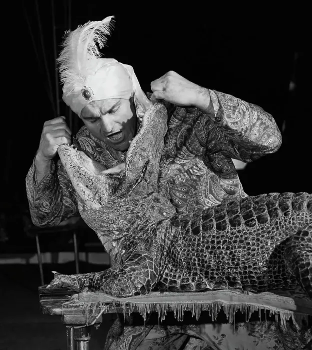 Framed Print : Fortune Teller Reading Future from Mouth of Crocodile Framed Print : Fortune Teller Reading Future from Mouth of Crocodile