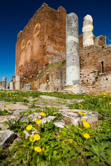 Framed Print : The Forum in the ruins of the Ancient Roman harbour city of Ostia Antica in Rome, Italy Framed Print : The Forum in the ruins of the Ancient Roman harbour city of Ostia Antica in Rome, Italy