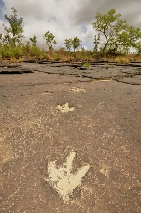 Framed Print : Fossilized footprints of a Tyrannosaurus rex near the village of Mananga, Cameroon, Central Africa, Africa