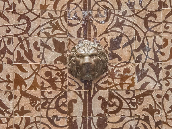 Fountain with lion head, Marrakech, Morocco