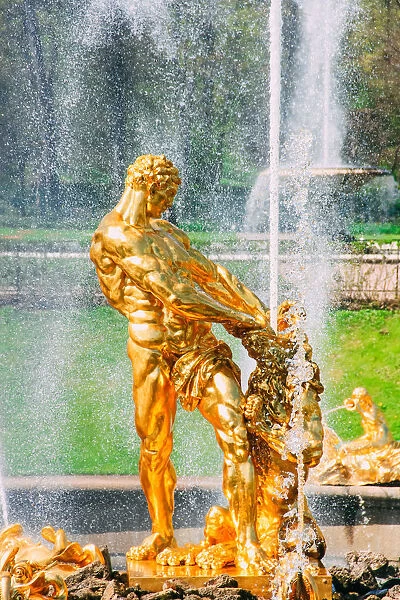 The fountain with the statue of Samson, Peterhof