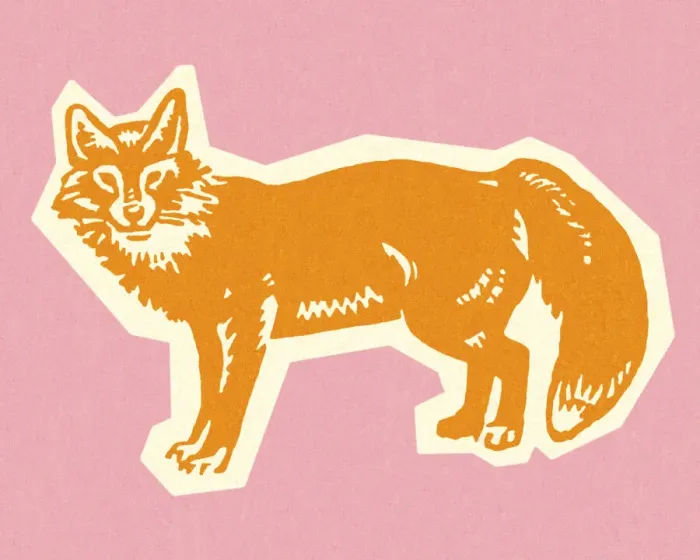 Framed Print : Fox Framed Print : Fox