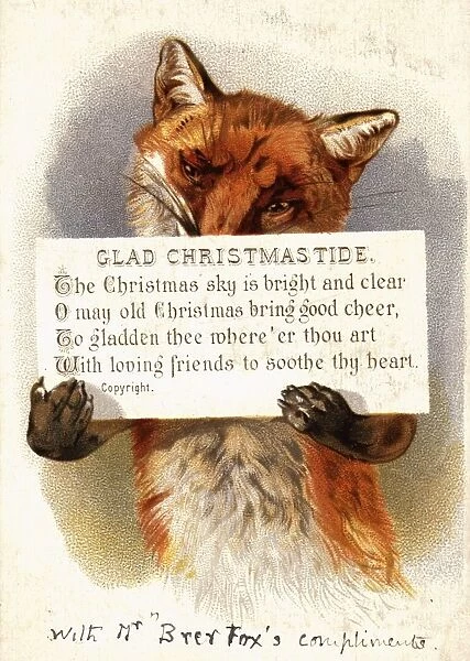 Foxy Christmas
