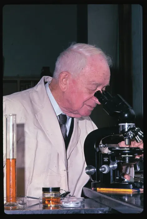 Framed Print : Francis Peyton Looking Through Microscope Framed Print : Francis Peyton Looking Through Microscope
