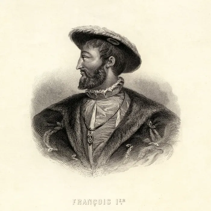 Framed Print : Francois 1 Series Framed Print : Francois 1 Series