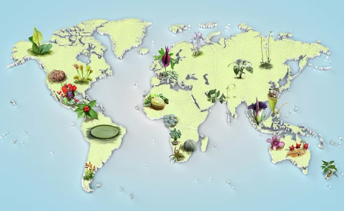 Framed Print : Freaky Flora map