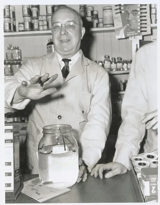 Framed Print : Fred Fienup Holding Leech