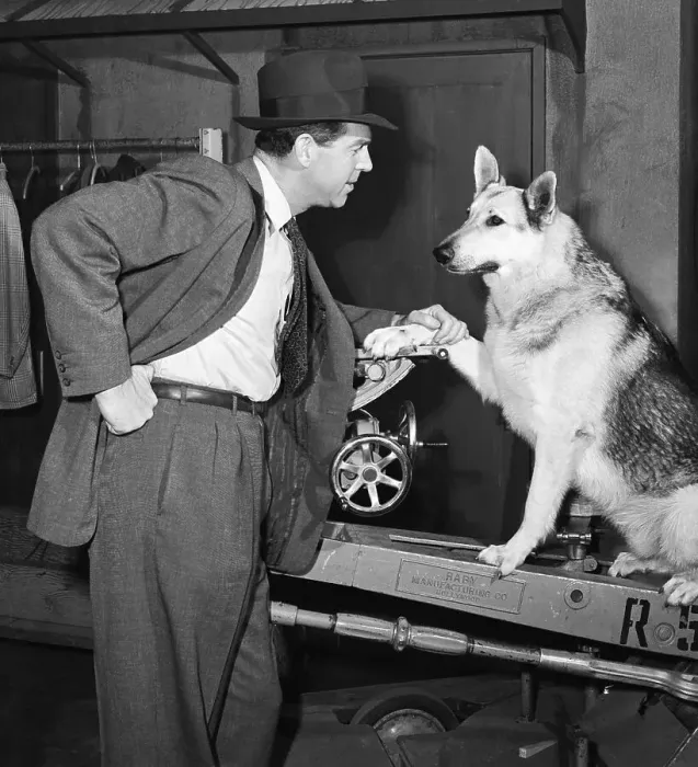 Framed Print : Fred MacMurray Chatting with Rin