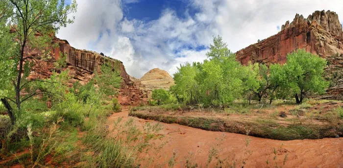 Framed Print : Fremont River coloured red from mud with green leafy trees after a storm, Capitol Reef National Park, Fruita, Utah, United States Framed Print : Fremont River coloured red from mud with green leafy trees after a storm, Capitol Reef National Park, Fruita, Utah, United States