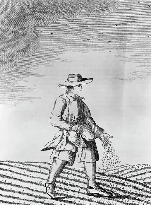 Framed Print : French Farmer Sowing Seeds Framed Print : French Farmer Sowing Seeds
