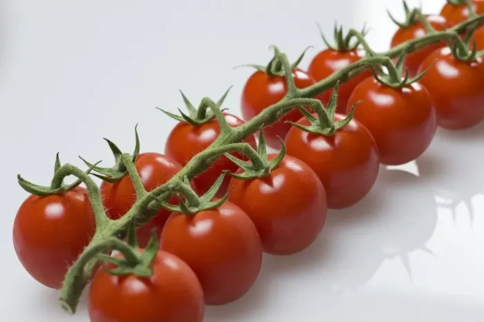 Framed Print : French vine tomatoes Framed Print : French vine tomatoes