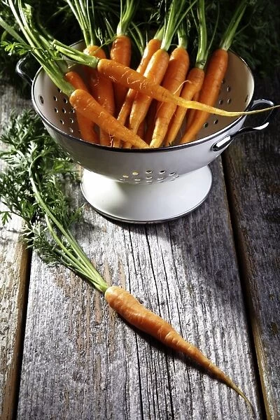 Fresh carrots, carrots in a colander on rustic wood