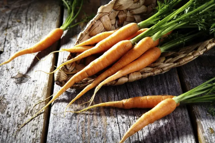 Framed Print : Fresh carrots, carrots in a wicker basket on rustic wood Framed Print : Fresh carrots, carrots in a wicker basket on rustic wood