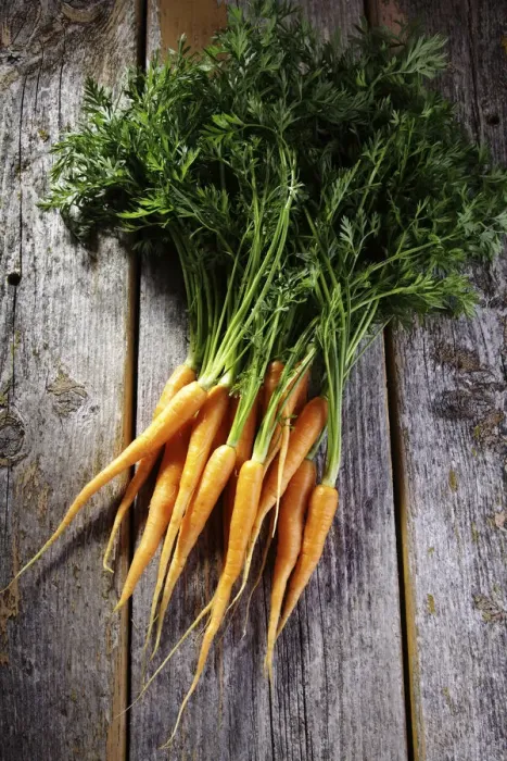 Framed Print : Fresh carrots on rustic wood