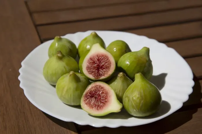 Framed Print : Fresh green figs -Ficus carica- on a plate, Lagos, Algarve, Portugal, Europe Framed Print : Fresh green figs -Ficus carica- on a plate, Lagos, Algarve, Portugal, Europe