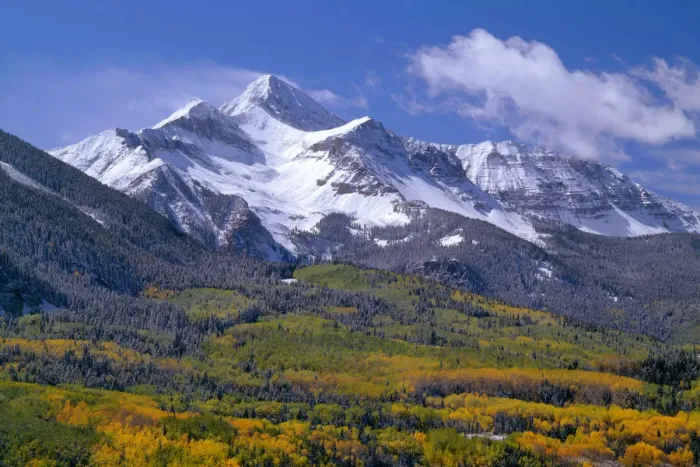 Framed Print : Fresh snow on Mount Wilson and forest in autumn colors, Uncompahgre National Forest, Colorado, USA Framed Print : Fresh snow on Mount Wilson and forest in autumn colors, Uncompahgre National Forest, Colorado, USA