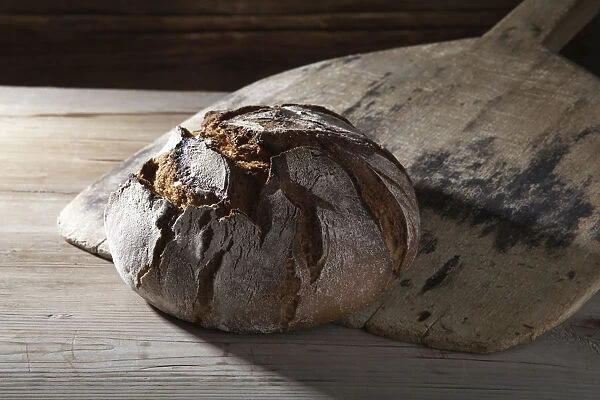 Freshly baked farmhouse bread on an old bread slide