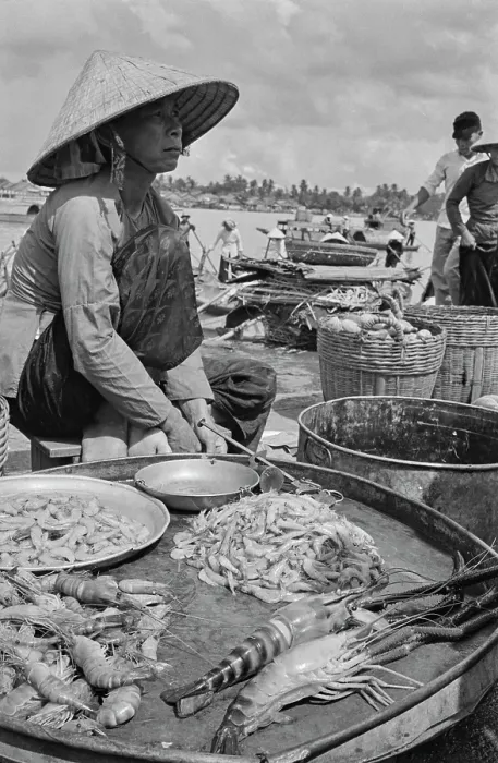 Framed Print : Freshly Caught Seafood, Saigon River Framed Print : Freshly Caught Seafood, Saigon River