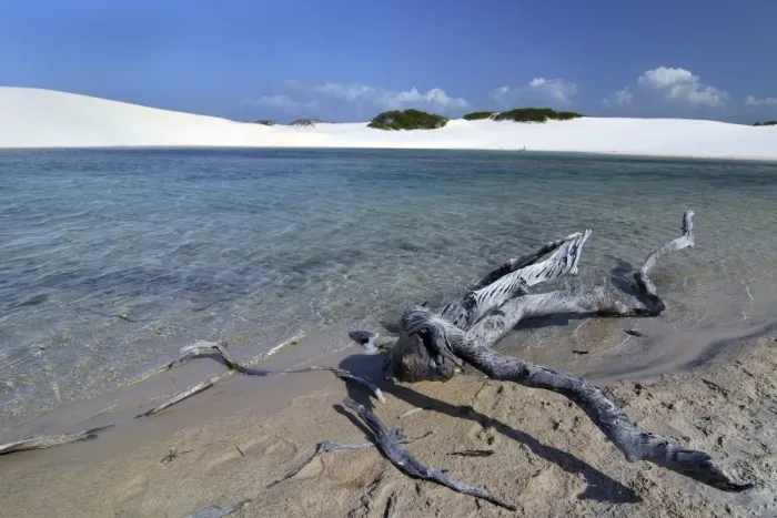 Framed Print : Freshwater lagoon, Parque Nacional dos Lencois Maranhenses or Lencois Maranhenses National Park, Maranhao, Brazil Framed Print : Freshwater lagoon, Parque Nacional dos Lencois Maranhenses or Lencois Maranhenses National Park, Maranhao, Brazil