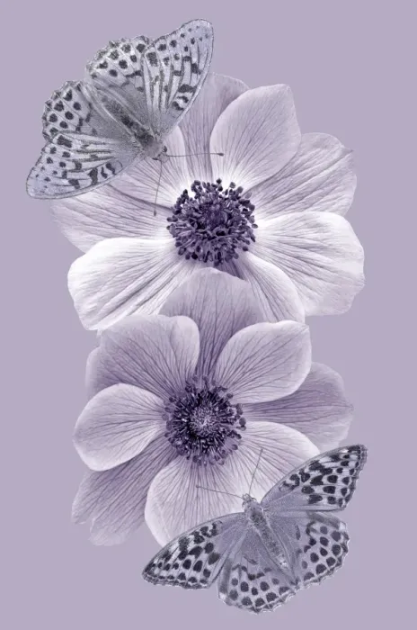 Framed Print : Fritillaries Framed Print : Fritillaries