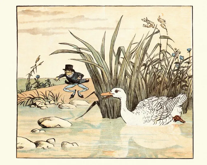 Framed Print : Frog He Would A-Wooing Go, nursery rhyme, A lily white duck came along and gobbled him up Framed Print : Frog He Would A-Wooing Go, nursery rhyme, A lily white duck came along and gobbled him up