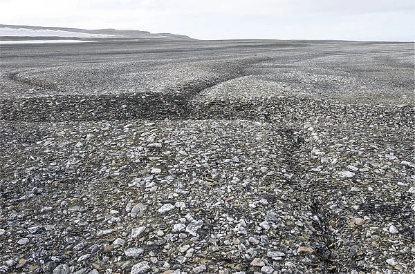 Frost cracks in the frost ground patterns in the Arctic ice desert, Zorgdragerfjord, Prins Oscars Land, Nordaustlandet, Svalbard Archipelago, Svalbard and Jan Mayen, Norway