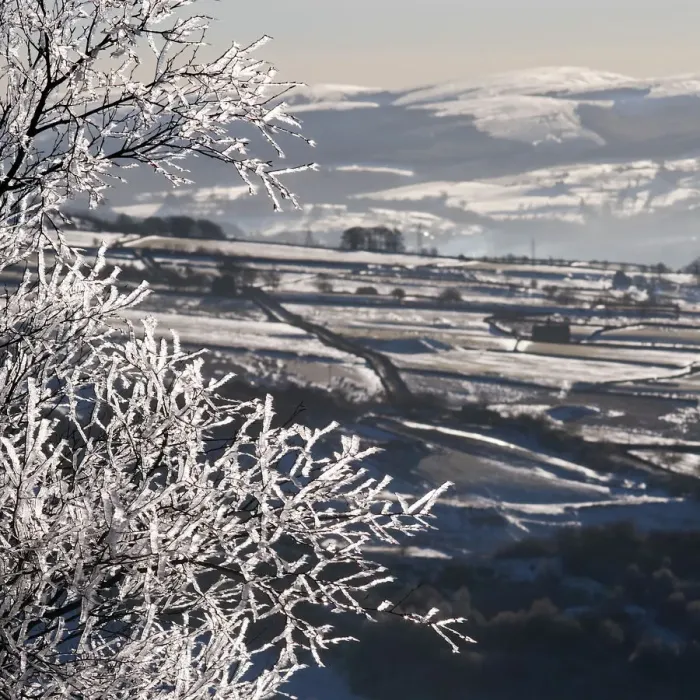 Framed Print : Frozen tree from freezing rain. Peak District National park. UK Framed Print : Frozen tree from freezing rain. Peak District National park. UK