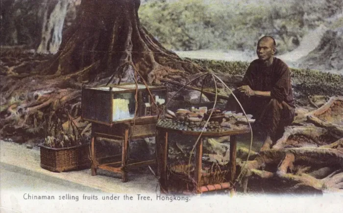 Framed Print : Fruit Seller