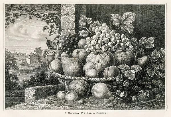 Fruits in a basket engraving 1873