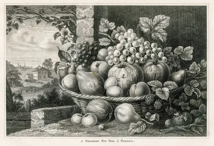 Framed Print : Fruits in a basket engraving 1873 Framed Print : Fruits in a basket engraving 1873