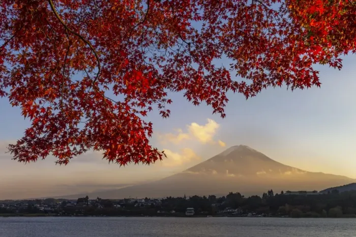Framed Print : Fuji in autumn season Framed Print : Fuji in autumn season