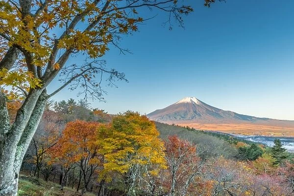 Fuji autumnal scenery