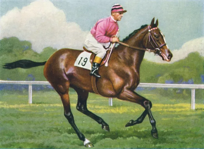 Framed Print : Pasch, Jockey: G. Richards, 1939. From Racehorses and Jockeys, 1938 - A Series of 40 Framed Print : Pasch, Jockey: G. Richards, 1939. From Racehorses and Jockeys, 1938 - A Series of 40