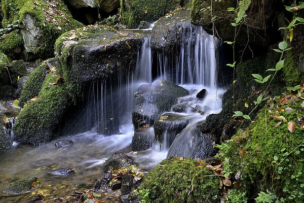 Gaisholl waterfalls, near Sasbachwalden, Black Forest, Baden-Wurttemberg, Germany
