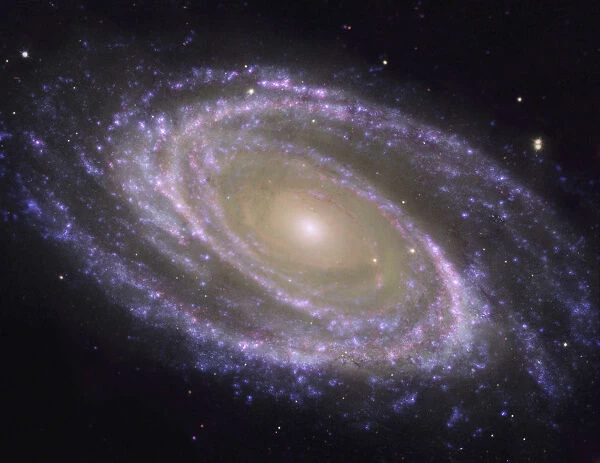 galaxy, astronomy, bodes, celestial, exploration, galactic, m81, messier 81, nobody