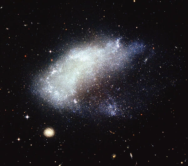 Galaxy NGC 1427A