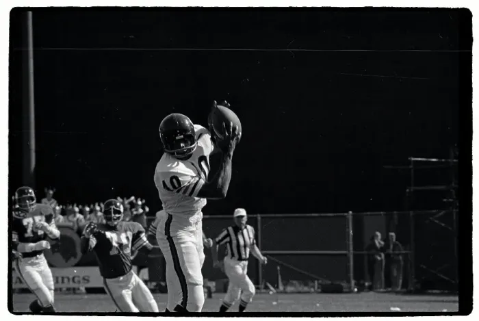Framed Print : Gale Sayers Catches Football on the Run Framed Print : Gale Sayers Catches Football on the Run