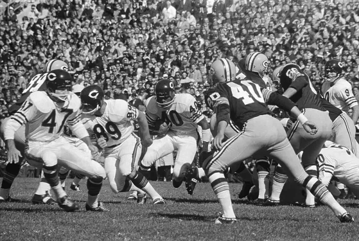 Framed Print : Gale Sayers in Game Action Framed Print : Gale Sayers in Game Action