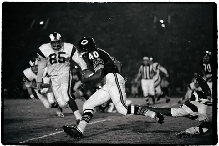 Framed Print : Gale Sayers Playing Football Framed Print : Gale Sayers Playing Football