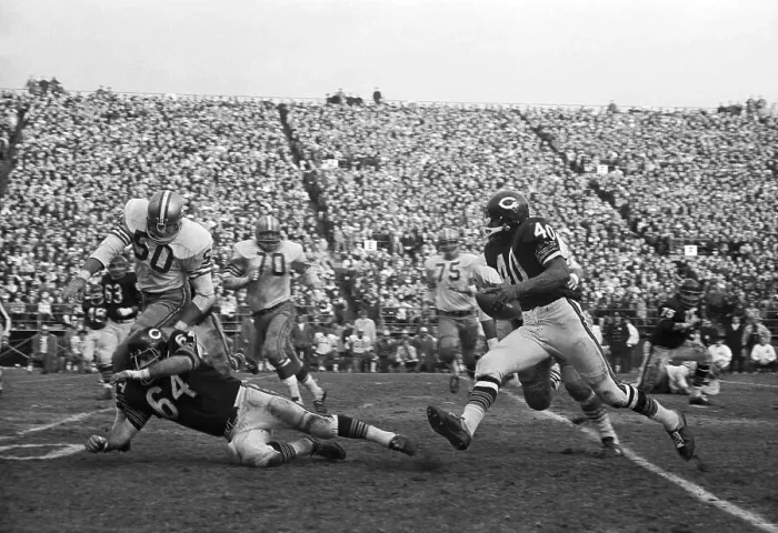 Framed Print : Gale Sayers Races Past Opponents in Football Game Framed Print : Gale Sayers Races Past Opponents in Football Game