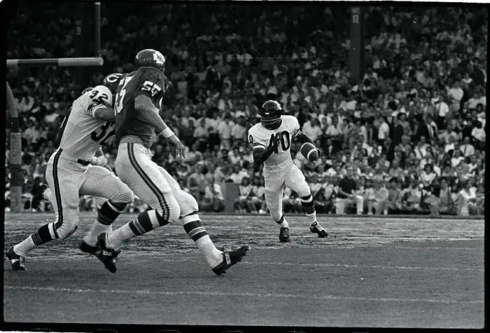 Framed Print : Gale Sayers Runs With Football in Game Framed Print : Gale Sayers Runs With Football in Game